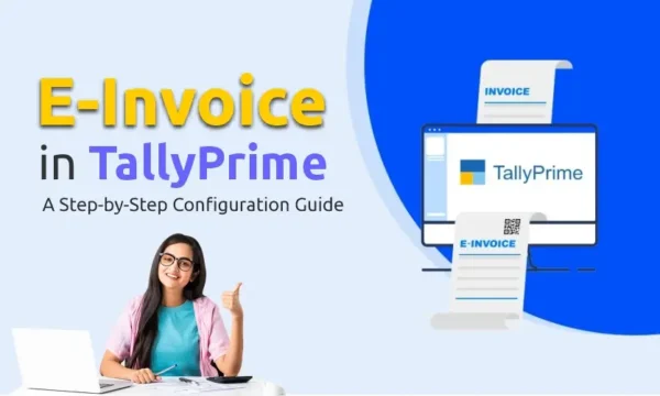Tally Prime Silver, Single-User - Installation Free - Image 3